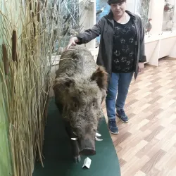 Museum of Fine Arts - Qostanay