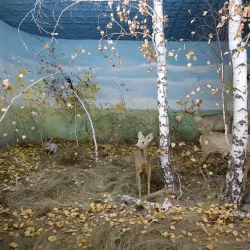 Museum of Fine Arts - Qostanay