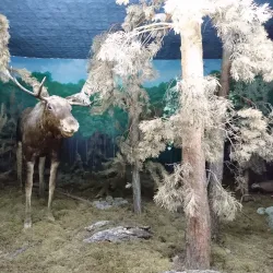 Qostanay Regional Museum of Local Lore - Qostanay