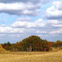 Nearby Natural Areas - Rudnyy