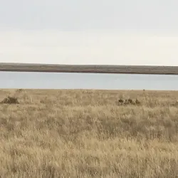 Nearby Natural Reserves and Forests - Shakhtinsk