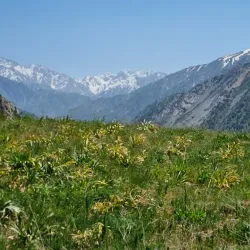 Aksu-Zhabagly Nature Reserve (near Shymkent) - Shymkent