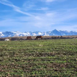 Aksu-Zhabagly Nature Reserve (near Shymkent) - Shymkent