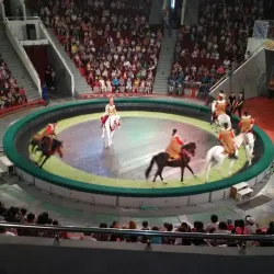 Shymkent Circus - Shymkent