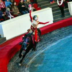 Shymkent Circus - Shymkent