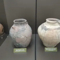 Shymkent Regional Museum - Shymkent