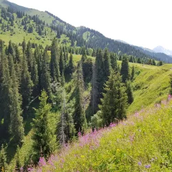 Kok-Zhailau Park - Taraz