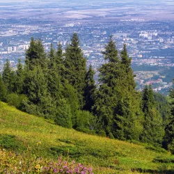Kok-Zhailau Park - Taraz