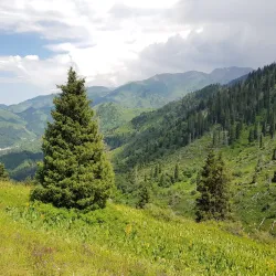 Kok-Zhailau Park - Taraz