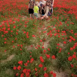 Taraz City Center - Taraz