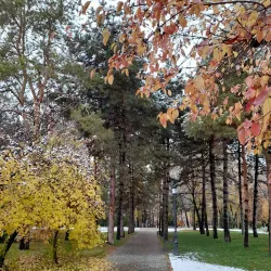 Park of Culture and Rest - Temirtau