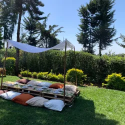 Local Tea Plantations - Bungoma