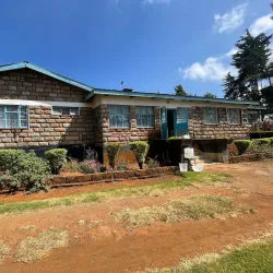 Local Tea Plantations - Bungoma