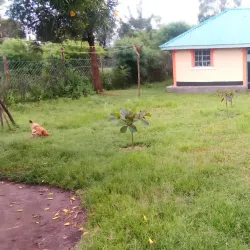 Cultural Visits to Local Villages - Katito