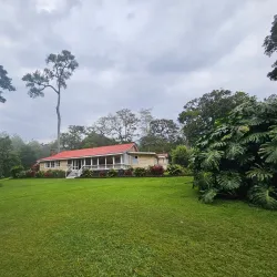 Kakamega Forest National Reserve - Katito