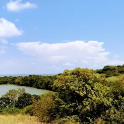 Ndere Island National Park - Katito
