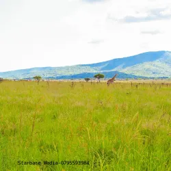 Ruma National Park - Katito