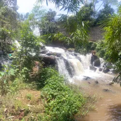 Karura Forest - Kiambu
