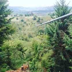 Kereita Forest - Kiambu