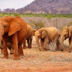 Tsavo East National Park - Kibwezi
