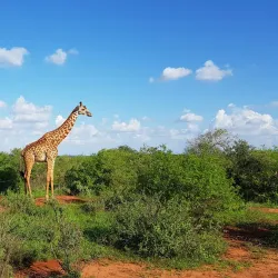 Tsavo West National Park - Kibwezi