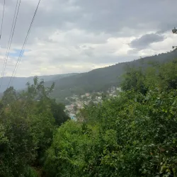 Kijabe Forest - Kijabe