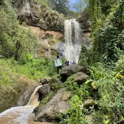 Kijabe Forest - Kijabe