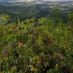 Kijabe Mission Station - Kijabe