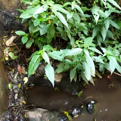 Kijabe Mission Station - Kijabe