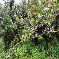 Ngong Hills Viewpoint - Kijabe
