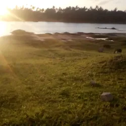 Arabuko Sokoke Forest - Kilifi