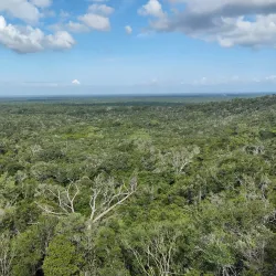 Arabuko Sokoke Forest - Kilifi