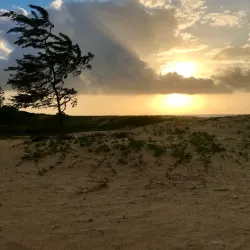 Kilifi Beach - Kilifi