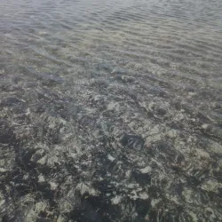 Kilifi Beach - Kilifi