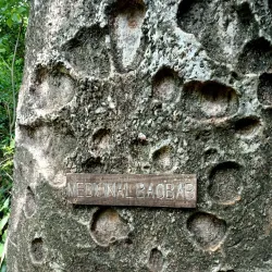 Kilifi County Museum - Kilifi