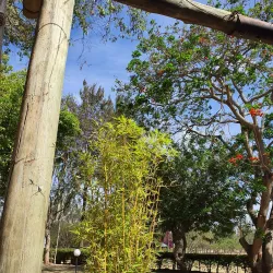 Machakos Golf Club - Machakos