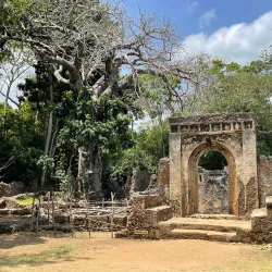 Gedi Ruins - Malindi
