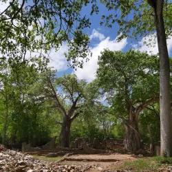 Gedi Ruins - Malindi