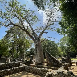 Gedi Ruins - Malindi