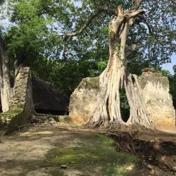 Gedi Ruins - Malindi