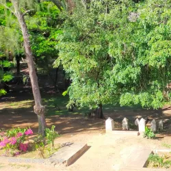 Malindi Museum - Malindi