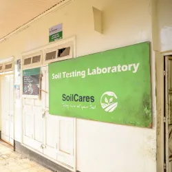 Meru Farmers Market - Meru