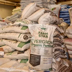 Meru Farmers Market - Meru