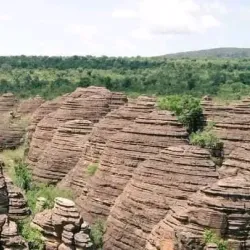 Meru Farmers Market - Meru