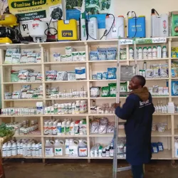 Meru Farmers Market - Meru