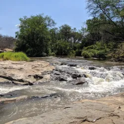 Meru National Park - Meru