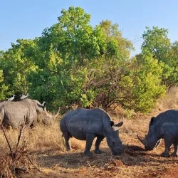 Meru National Park - Meru