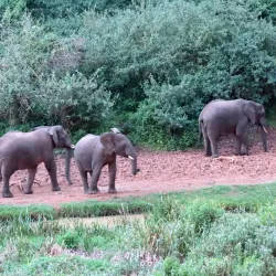 Mount Kenya Viewpoints - Meru