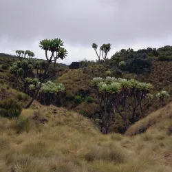 Nithi Waterfalls - Meru