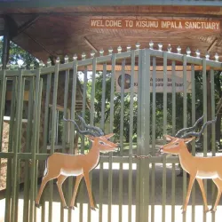 Kisumu Impala Sanctuary - Migori